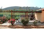Le Camelie - Image 6