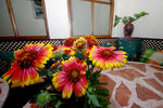 Hostal Azahara - Image 3