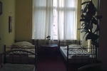 John's Cozy Little Jungle Hostel - Image 7
