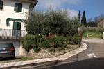 B&B Ester - Image 3