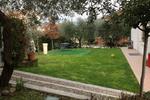 B&B Ester - Image 10