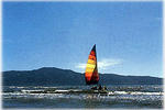 Barnacles Seaside Inn - Image 1