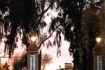 Hotel Hacienda La Laguna