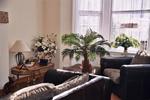 Photos of Da Ville Hotel