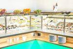 Hotel Welcome Inn - Image 6