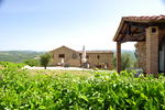 Castello di Selvole