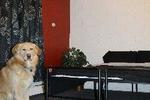 Alaska Backpackers Inn - Image 7