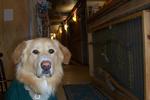 Alaska Backpackers Inn - Image 8