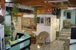 Jaffa Gate Hostel - Image 5