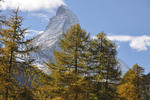 Youthhostel Zermatt - Image 8