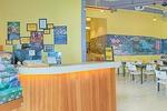 The Hive Backpackers' Hostel - Image 3