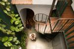 Harmonia - Image 10