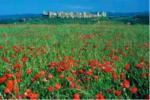 Ostello del Chianti - Image 5