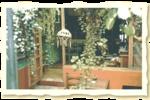 Posada del Maple - Image 2