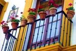 Photos of Bed & Breakfast Naranjo