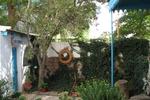 Posada del Catalejo - Image 6