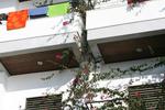 Hotel Cala Luna - Image 1