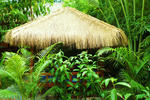 Golden Mango Inn - Image 9