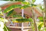 Photos of Villa Caribbean Dream