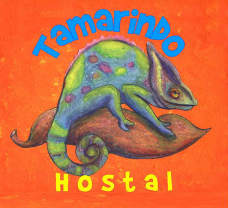 Tamarindo Hostel  0