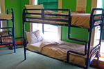 Paddy's Palace - Dingle Peninsula - Image 7