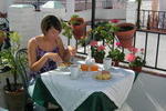 Hostal Miguel - Image 4