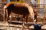 Photos of Hospedaje Ecológico