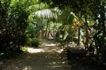 Hostel La Candelaria - Image 6