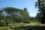 Namuka Bay Lagoon - Image 2