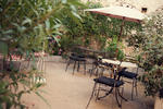 Chanteclair - Image 3