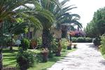 Dolce Casa - Image 5