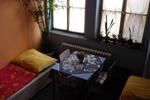 Hostel Kaktus - Image 6