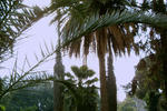 Photos of Il Giardino Segreto