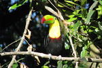Rinconcito Lodge - Image 2