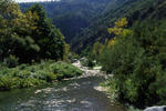 B&B Bellini - Image 6