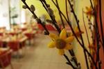 Youth Hostel Uni Hotel - Image 6