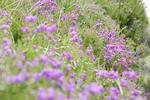 Braemer Youth Hostel - Image 4