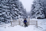 Crianlarich Youth Hostel - Image 4