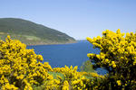 Loch Ness Youth Hostel - Image 3