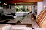 Kurhaus Ishibashi Ryokan - Image 7