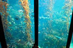 HI-Monterey Hostel - Image 6