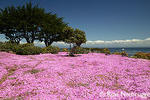 HI-Monterey Hostel - Image 10