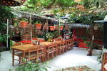 Ferah Pension/Monica's Place - Image 8