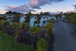 Kiwi paka - Rotorua - Image 3