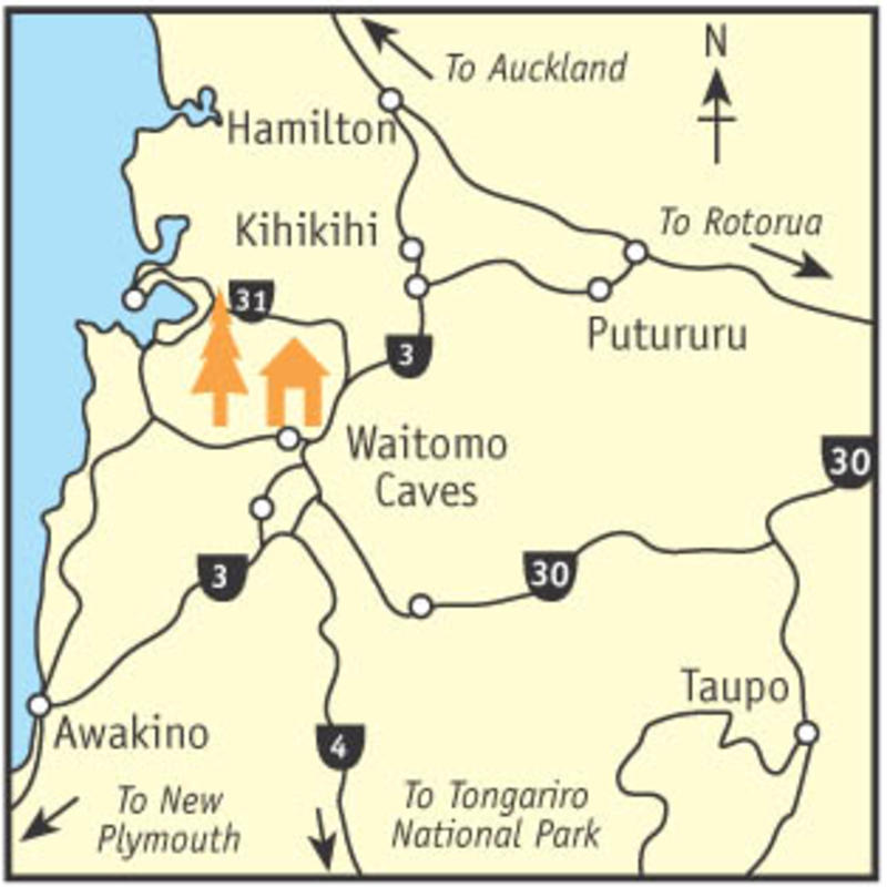 Kiwipaka Waitomo  2