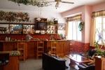 Angelica's Backpacker's Hostel - Image 3