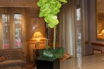 Photos of Hotel de Bellevue