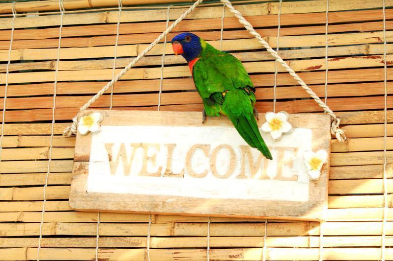 Ozzie Pozzie Backpackers Port Macquarie Yha: Image # 2