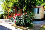 Camping Village Il Poggetto - Image 4