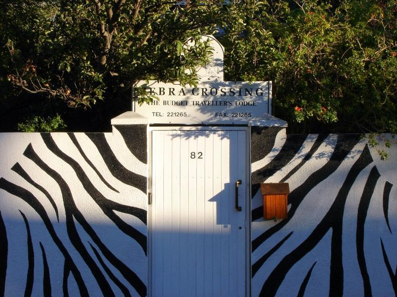 Zebra Crossing  0